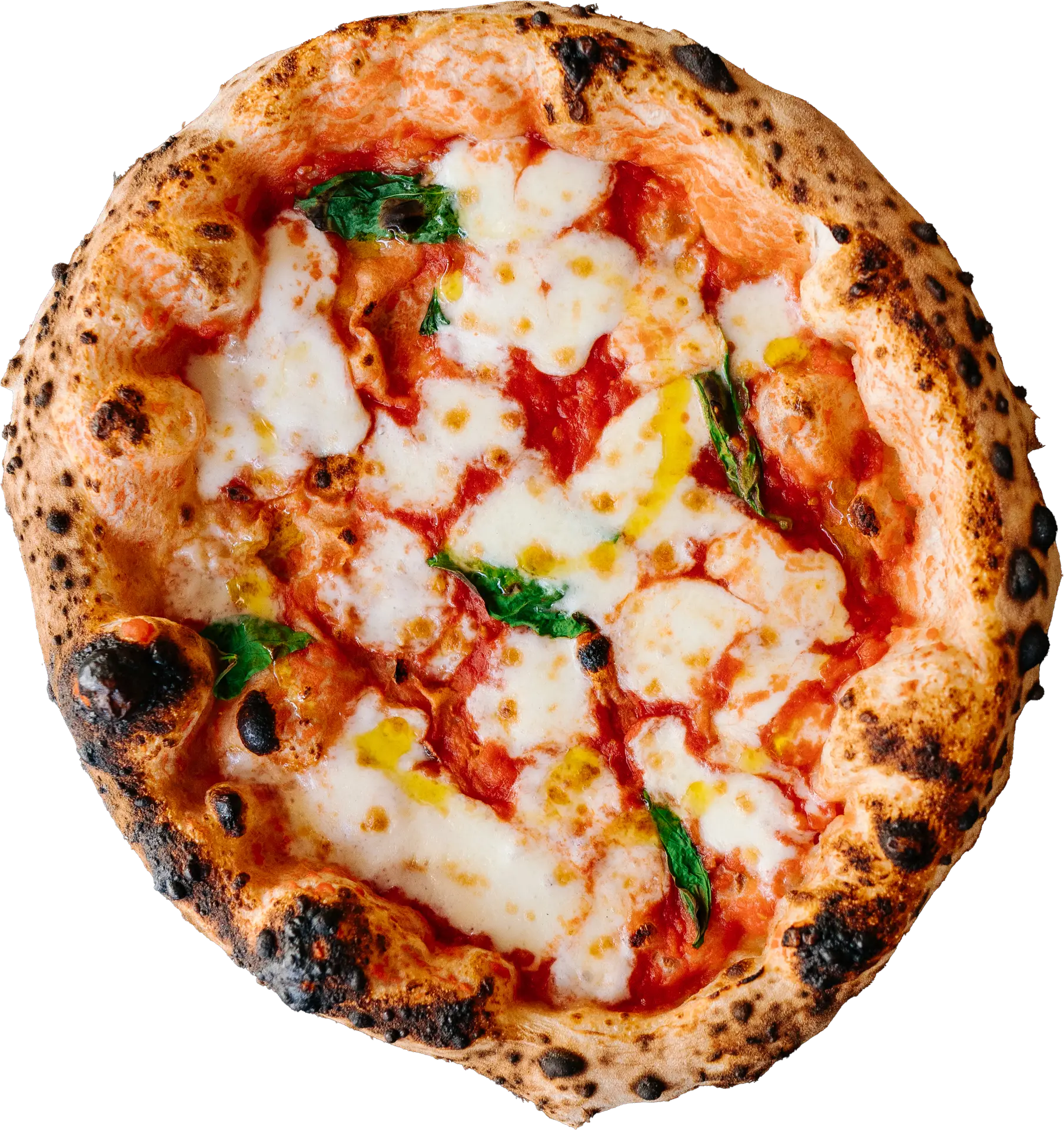 Pizza Margherita